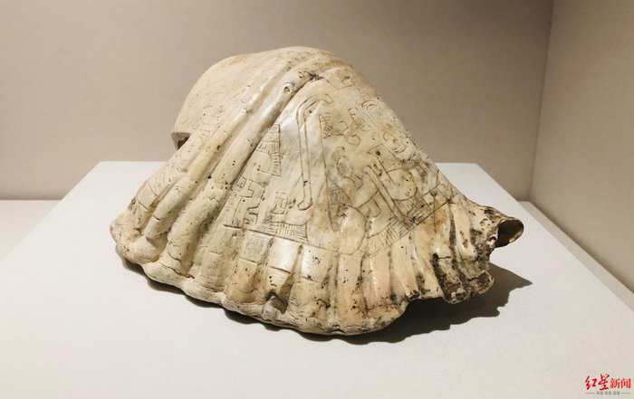 有着精美雕花的巨型海螺号角