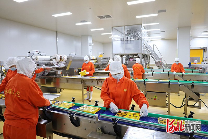 2022年10月9日，双合盛生态农产品有限公司工人在忙碌地分装黏饽饽。（河北日报资料片） 河北日报通讯员 孟宪凤摄