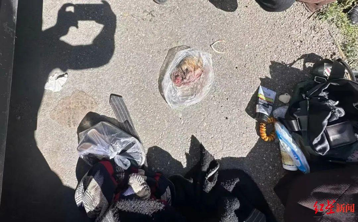 ▲犯罪嫌疑人盗猎的麝香