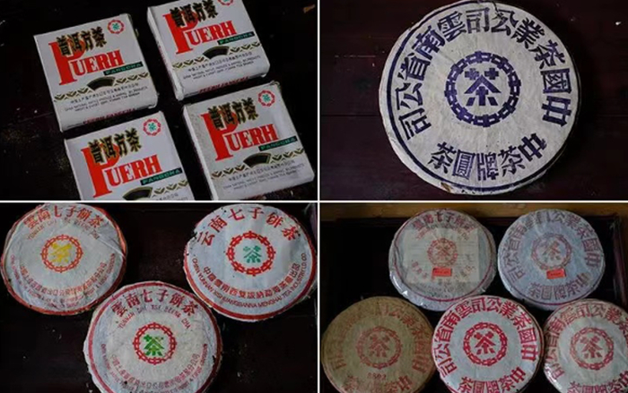 ▲李尉文收藏的部分老茶