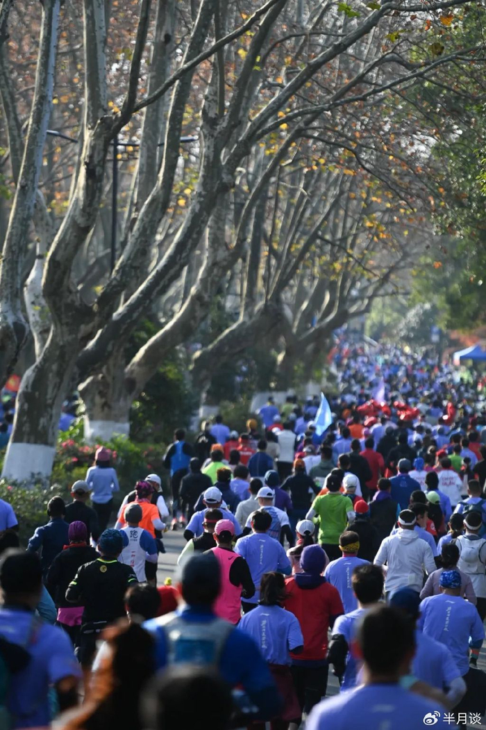 参赛选手在西湖景区杨公堤路上奔跑。黄宗治摄
