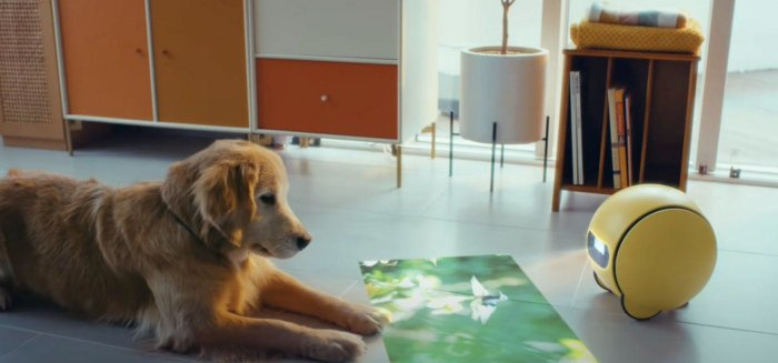 三星球状投影机器人  图源：三星视频宣传片截图