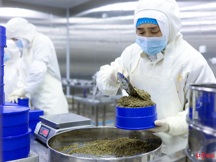 ▲现场加工罐装鱼子酱