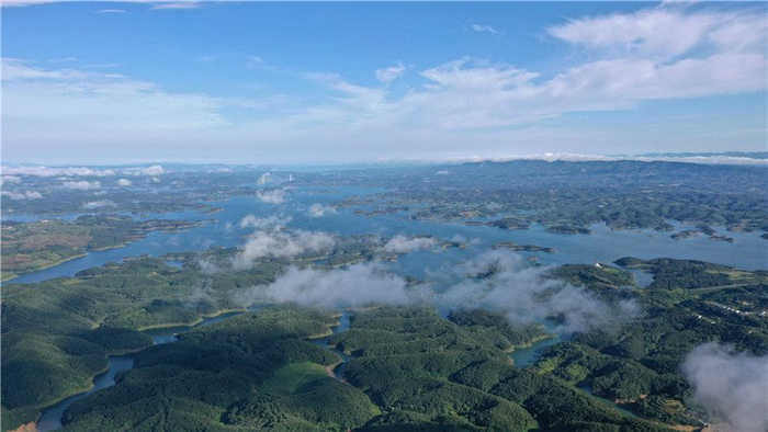 绿满丹江口。涂大明摄