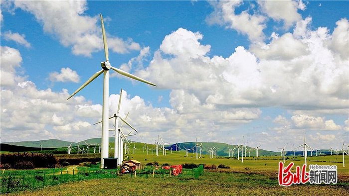 围场红松风电场（摄于 2023年7月）。 张丹摄