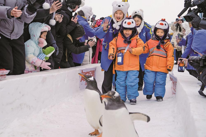     近日，11名来自广西南宁的小朋友来到黑龙江哈尔滨极地公园参观游览。图为小朋友们与企鹅互动。    中新社发 赵宇航 摄