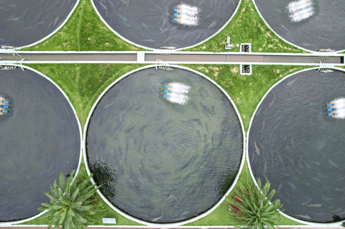 ▲数字化智慧养殖系统是鱼池“标配”