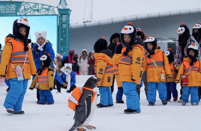 图/IC PHOTO 广西南宁游学团