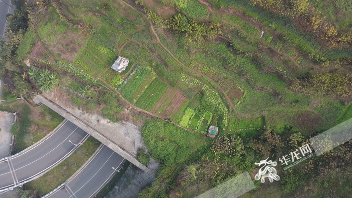 男孩被困管道距离孩子家步行不到20分钟。华龙网记者 罗盛杰 摄
