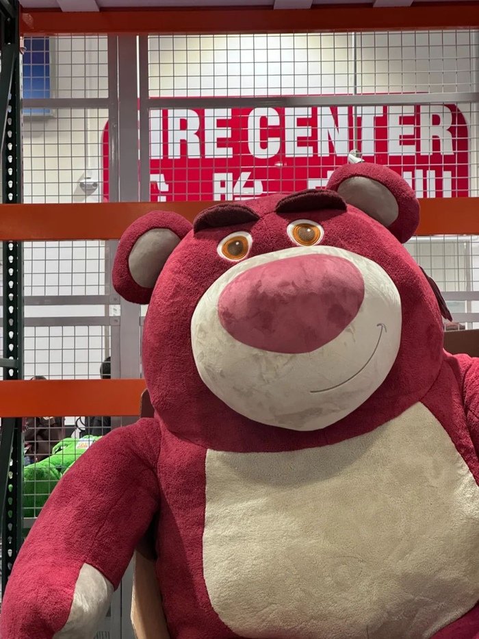 草莓熊 孙玥/摄