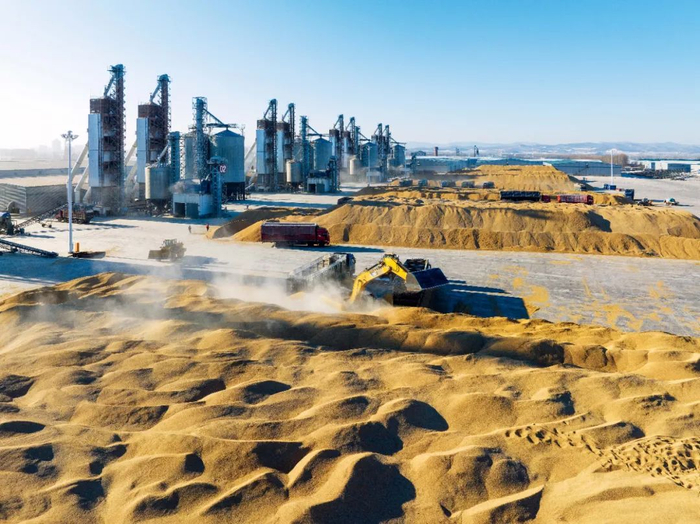 2022年12月11日，黑龙江双鸭山市，各个粮食储备库均开仓收粮。图/视觉中国