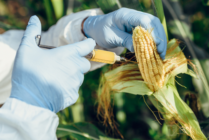 图源：视觉中国