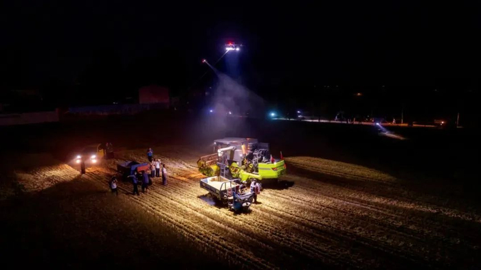 2023年6月1日，河南驻马店市，西平县专探乡小于庄的麦田里，无人机为抢收小麦提供照明。图/视觉中国