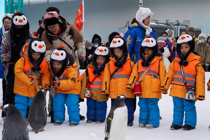 11名来自广西南宁的小朋友来到黑龙江哈尔滨极地公园参观游览。（图片由CNSPHOTO提供）