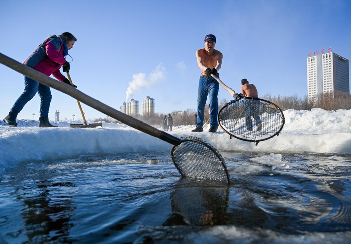 2021年1月26日，海拉尔冬泳协会闫相斌（右二）在伊敏河上捞浮冰为泳友们清理“泳池”。新华社记者连振摄
