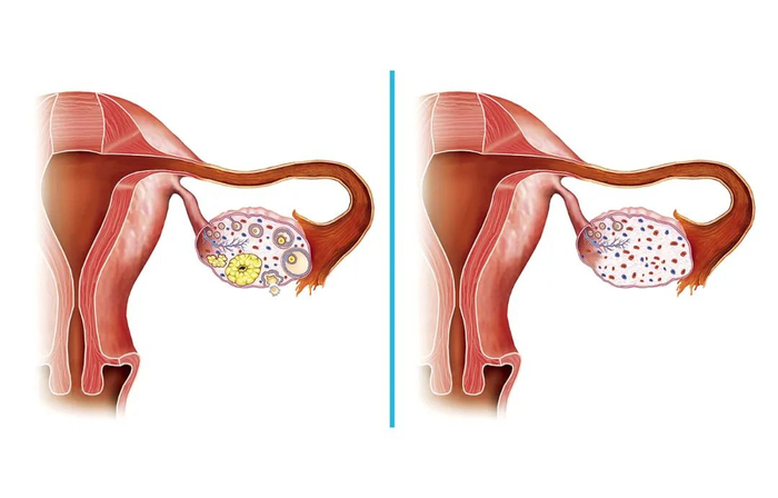 图/Sri Vaishnavi Nursing Home