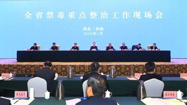 全省禁毒重点整治工作现场会召开 平安湖北微信公众号 图