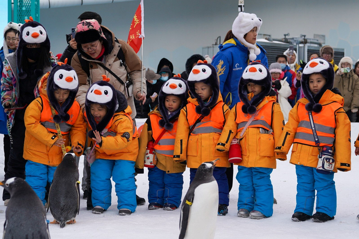 11名来自广西南宁的小朋友来到黑龙江哈尔滨极地公园参观游览。（图片由CNSPHOTO提供）