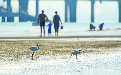     山东省烟台市八角湾碧海金沙美丽景象。 肖水莲摄/光明图片