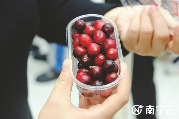 鲜艳的蔓越莓受到南宁市民的喜爱