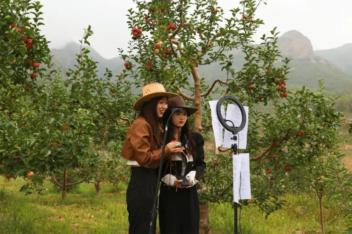 围场满族蒙古族自治县电商中心抖音直播间的主播详细介绍围场四道沟乡特产“金红苹果”。图片来源：围场融媒微信公众号