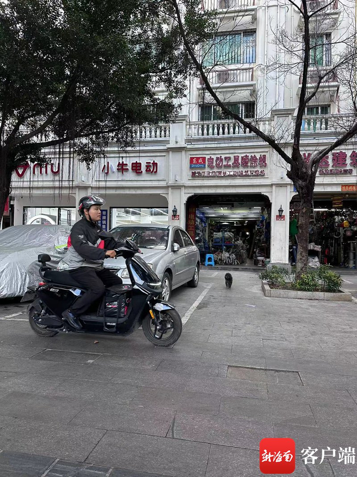 周冬冬正在配送。记者 胡丽齐 摄