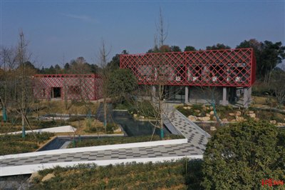 建在茶地、果园、松林间的办公空间 图片由受访者提供