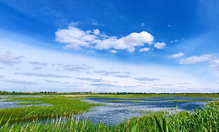 那苏图湖。图自天保那苏图景区公众号