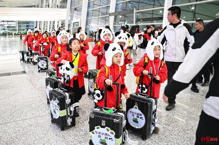 ▲来自黑龙江鸡西市的17名小学生准备在成都开启研学之旅