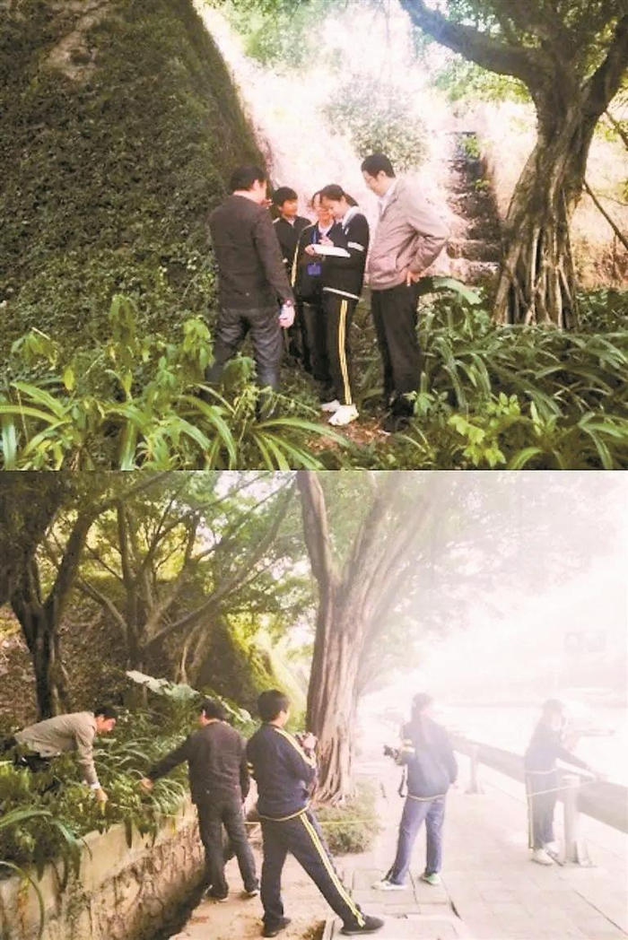 3位学生6年前在莫峻博士带领下，到梅观路实地勘察地形、测量距离，确定生物桥方案选点。 （深圳明德实验学校供图）