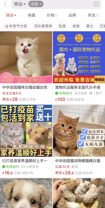 网购平台活体宠物销售