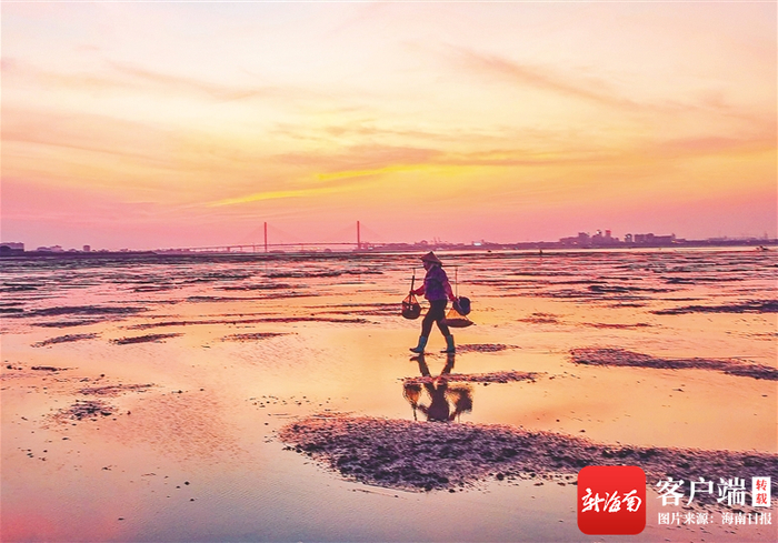 儋州市新英湾，一名赶海的妇女满载而归。海南日报记者 陈元才 摄