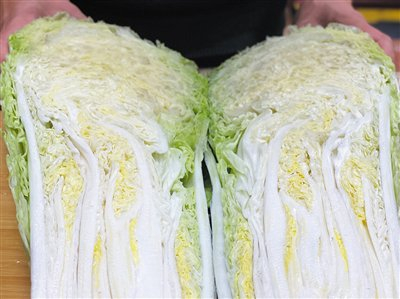 1月5日，顺义区食为先生态农场，核桃纹大白菜。新京报记者 田杰雄 摄