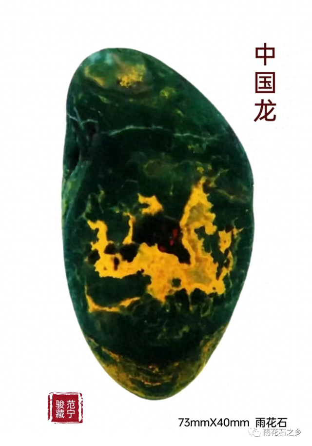 图为酷似金龙的雨花石