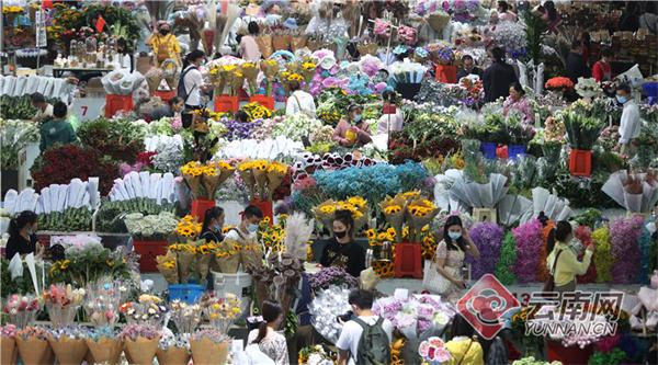 斗南花市 杨峥 摄