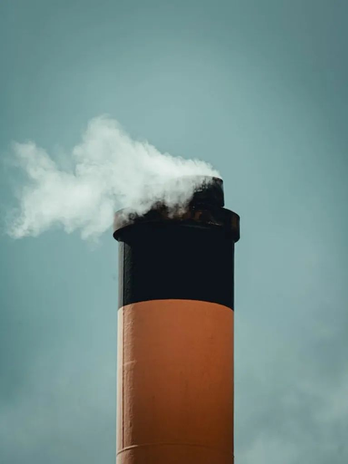 （图片来自网络）