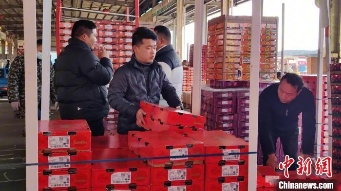 水果批发商在交易车厘子。任新月摄