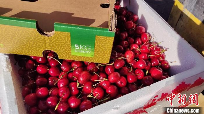 一箱5kg的进口车厘子。任新月摄