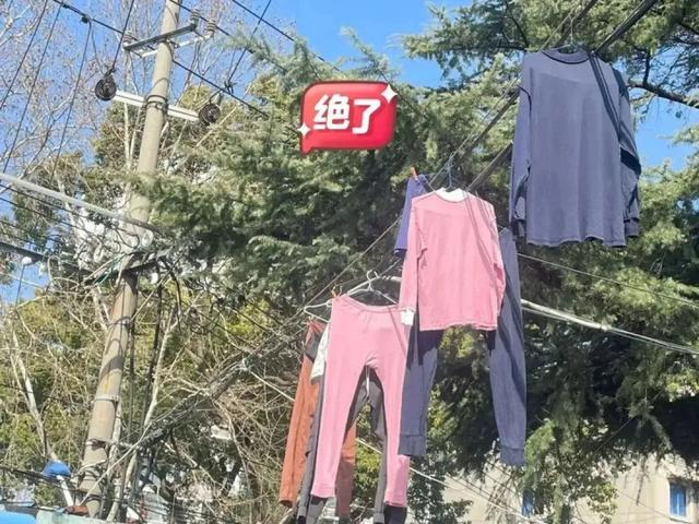 图片来源：小红书@Lime酱