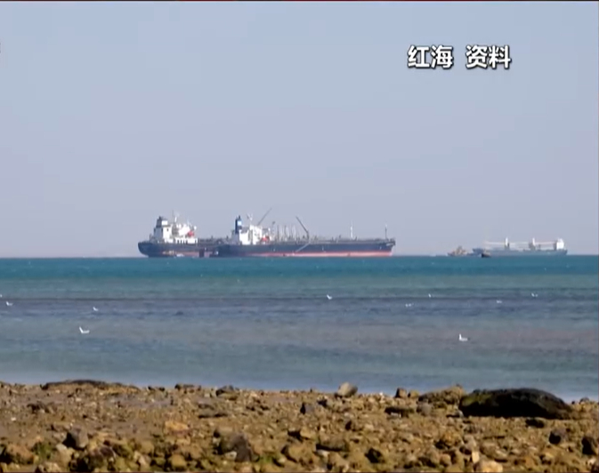 图片来源：CCTV4视频截图