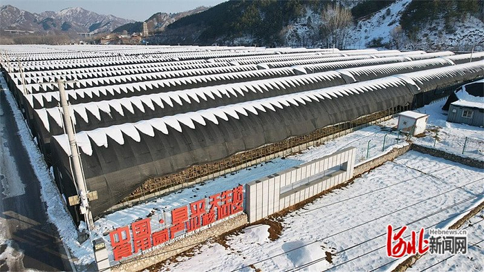 2023年12月27日拍摄的阜平食用菌产业核心区。 河北日报通讯员 常琛摄