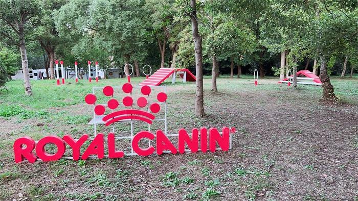 皇家支持建设的上海首个宠物友好公园——上海市滨江森林公园