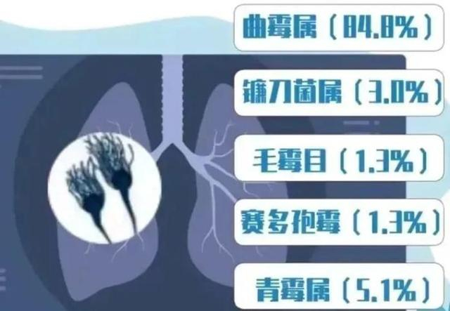 图片来源：协和医学杂志微信公众号