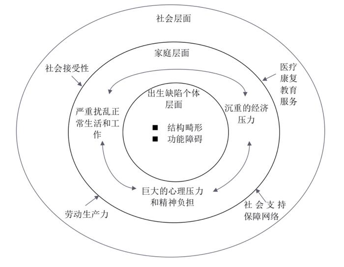 ▲出生缺陷的疾病负担示意图