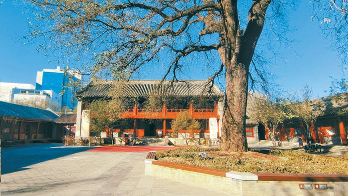 长椿寺今貌 视觉中国 供图