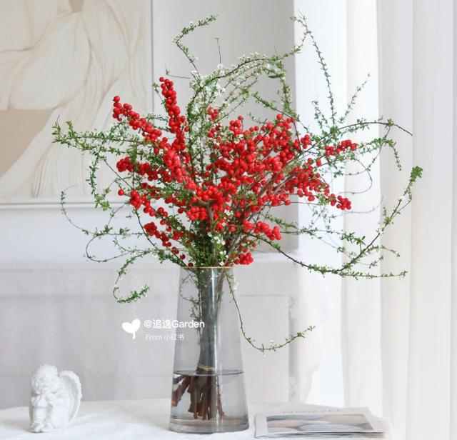 图片来源：网友@追逸Garden