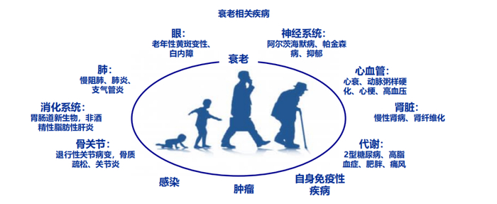 图源：申万宏源研究