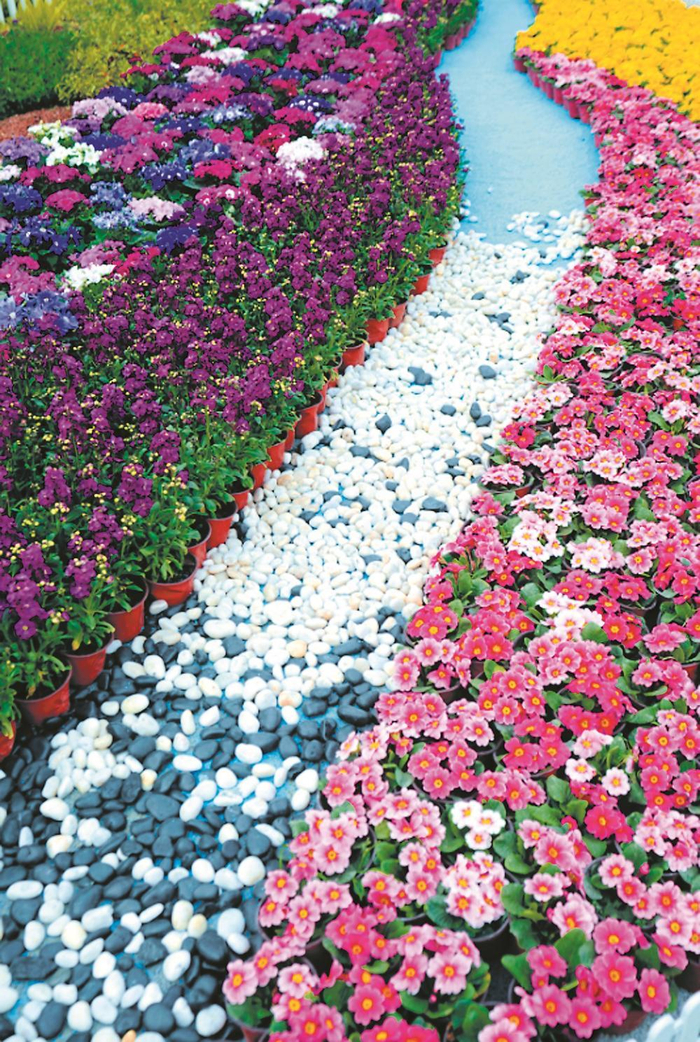 浪漫花溪