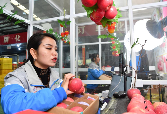 1月17日，延安市洛川县一家果业企业工作人员在工作间直播带货。新华社记者 张博文 摄