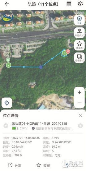 通过发射器传回的放飞的凤头鹰情况